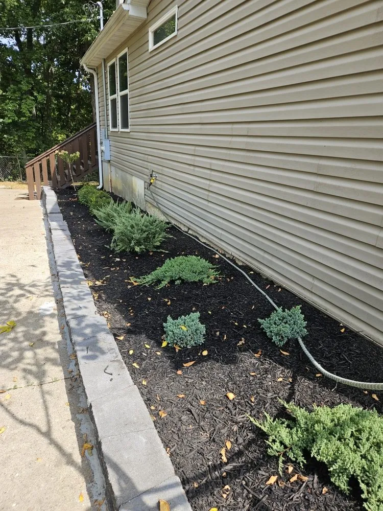Expert outdoor landscaping in Columbia, MO by Terraformed Homes