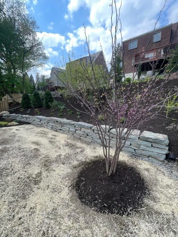 Professional landscape design in Pittsburgh, PA by TerraGreen Landscapes