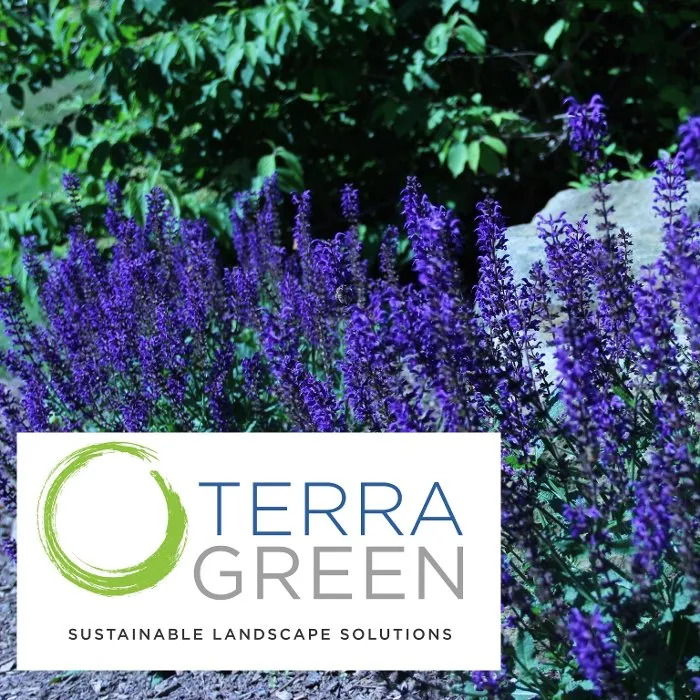 Expert yard maintenance experts serving Pittsburgh, PA - TerraGreen Landscapes