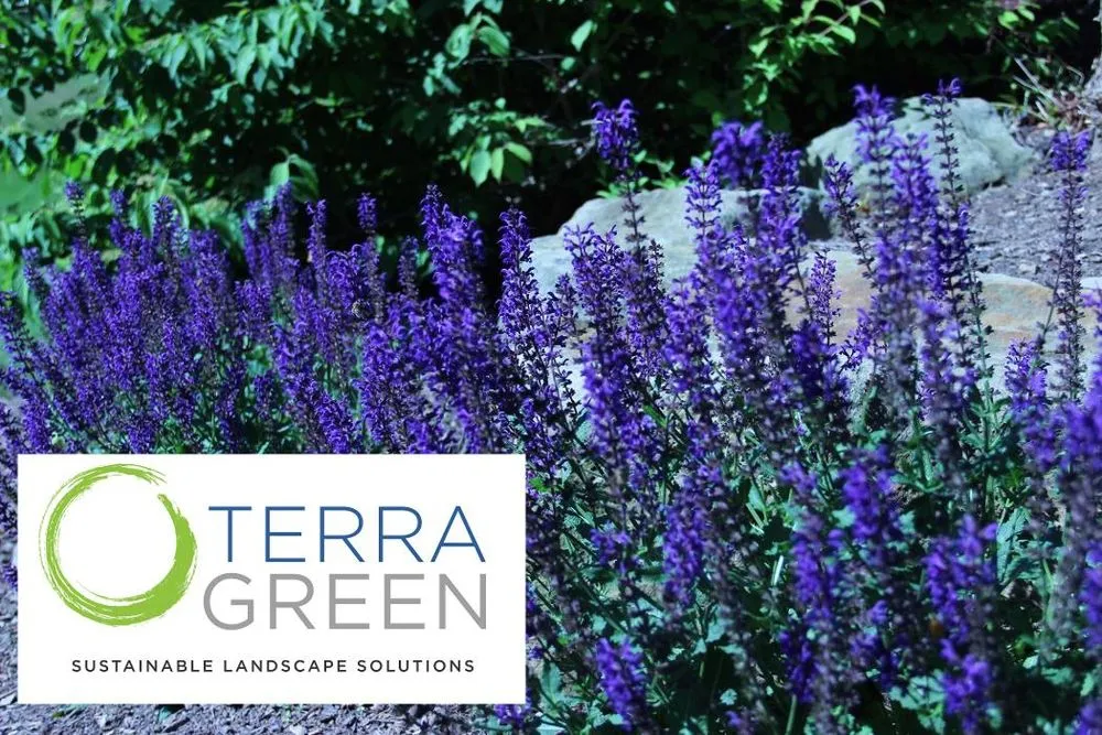 Custom landscaping services experts serving Pittsburgh, PA - TerraGreen Landscapes