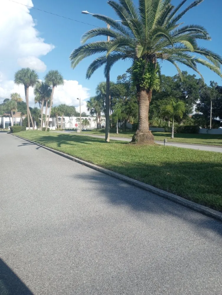 Local landscape installation for residential properties in NEW PRT RCHY, FL by Terragrine