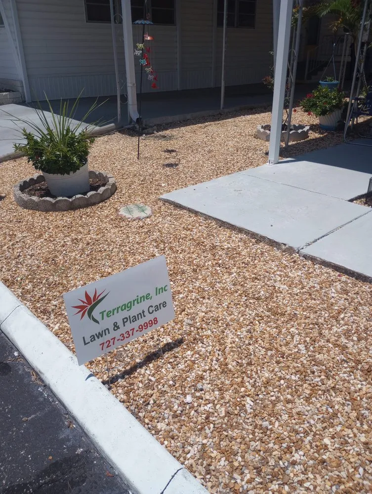 Local yard maintenance in NEW PRT RCHY, FL - Terragrine
