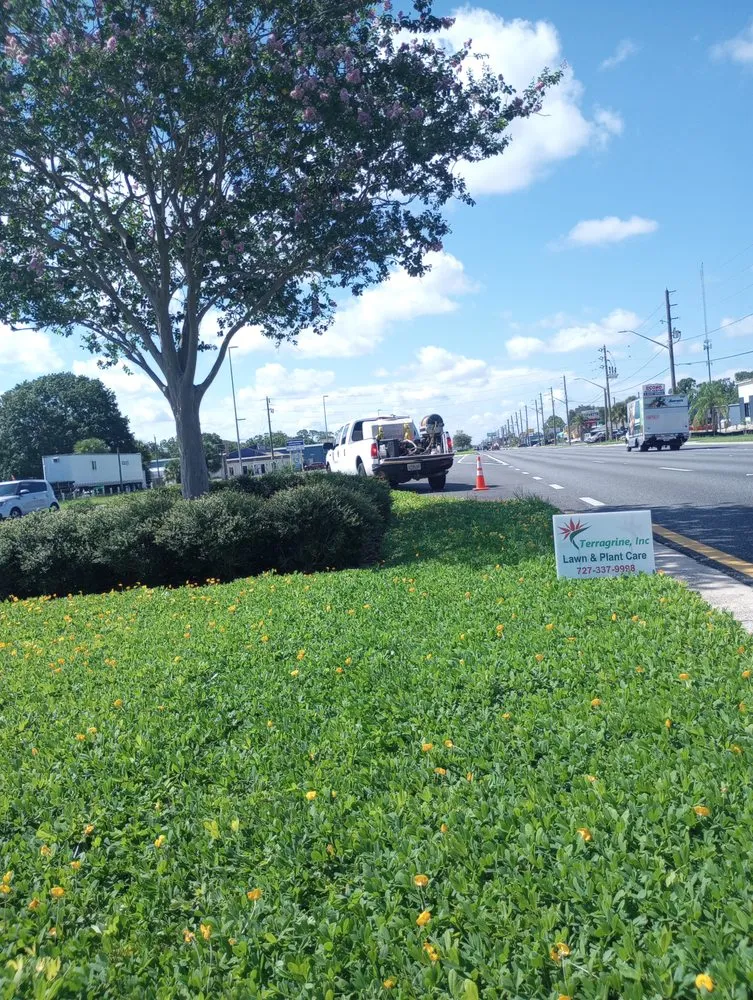 Affordable garden landscaping experts serving NEW PRT RCHY, FL - Terragrine