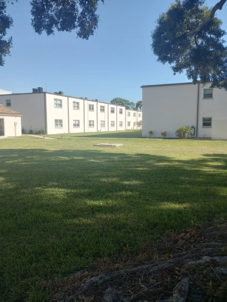 Custom landscape design in NEW PRT RCHY, FL by Terragrine