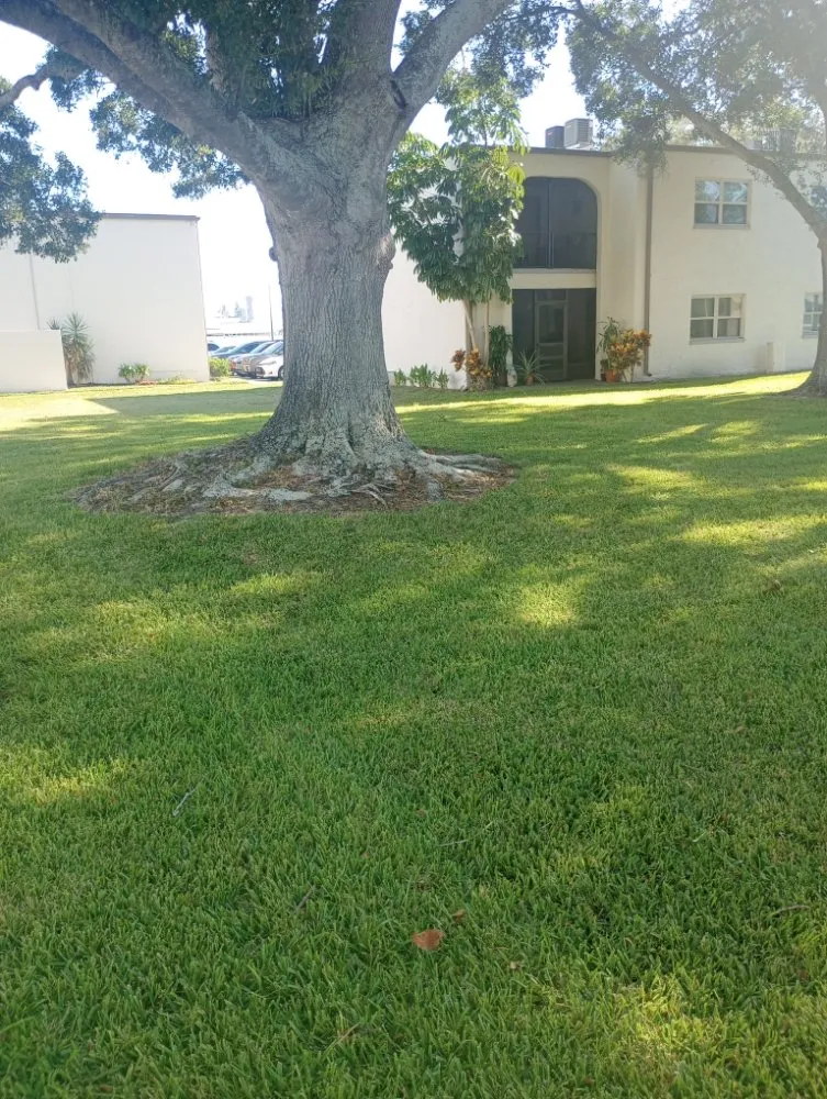 Reliable residential landscaping in NEW PRT RCHY, FL by Terragrine