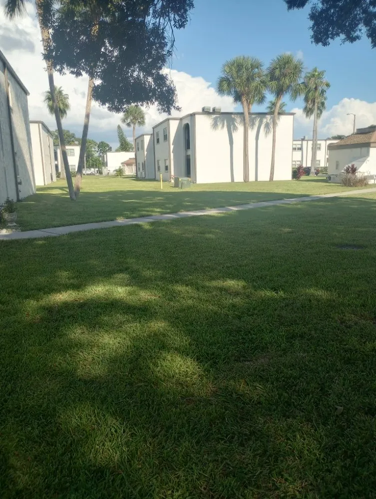 Trusted yard cleanup service in NEW PRT RCHY, FL - Terragrine