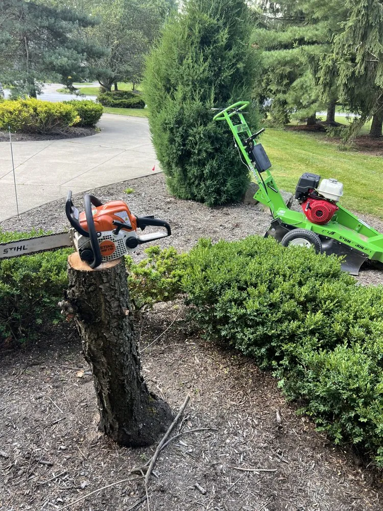 Reliable yard maintenance near you in South Euclid, OH by Terragroup Landscaping