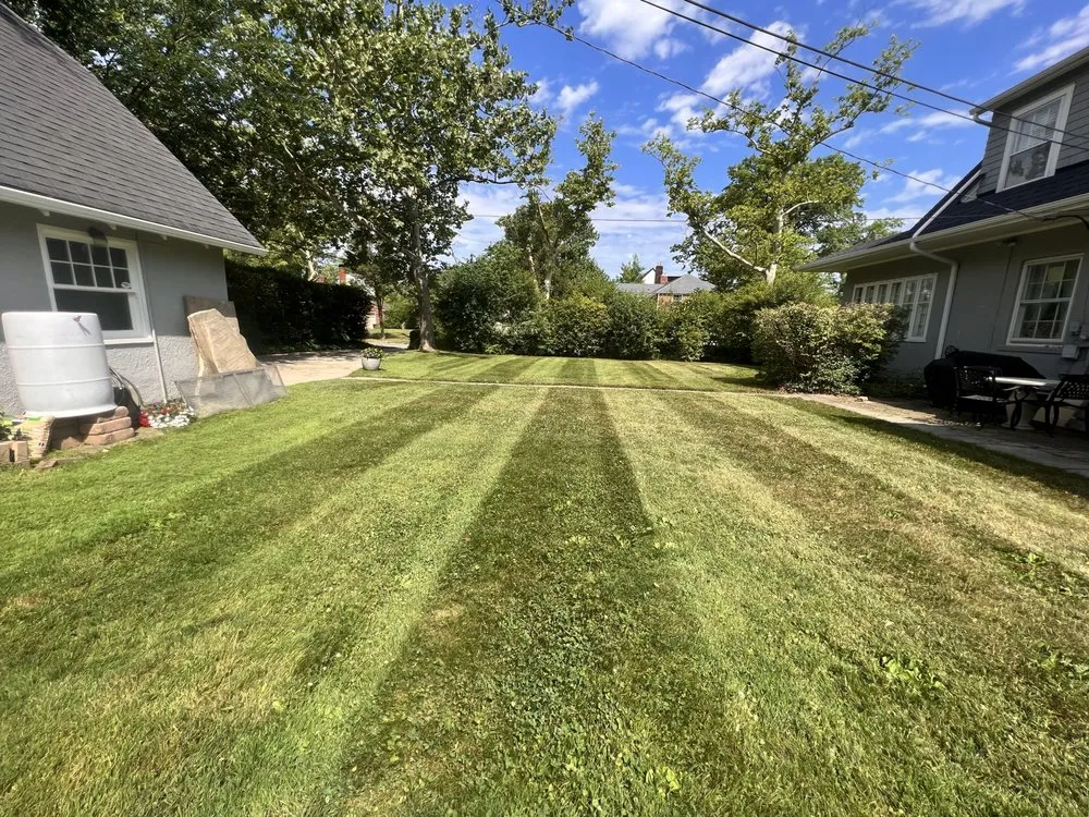 Top-rated residential landscaping in South Euclid, OH - Terragroup Landscaping