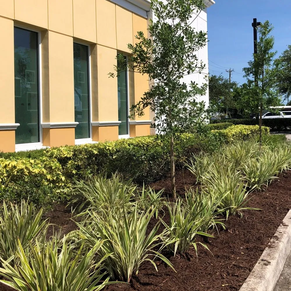 Trusted landscape design experts serving Rosharon, TX - Terrain Brains Landscape