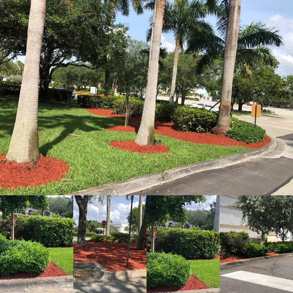 Professional garden landscaping experts serving Rosharon, TX - Terrain Brains Landscape