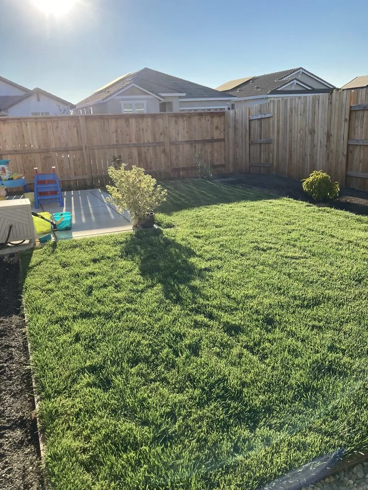 Local residential landscaping experts serving Roseville, CA - Terrain Creations