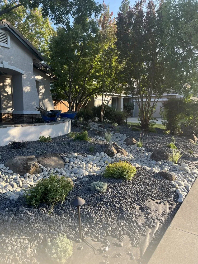 Expert yard cleanup service near you across Roseville, CA - Terrain Creations
