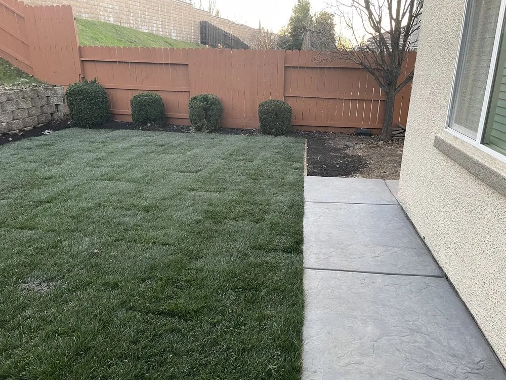 Trusted landscaping services experts serving Roseville, CA - Terrain Creations