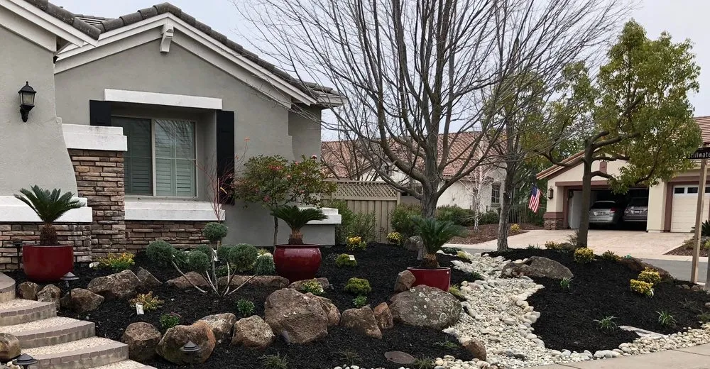Trusted yard cleanup service in Roseville, CA - Terrain Creations