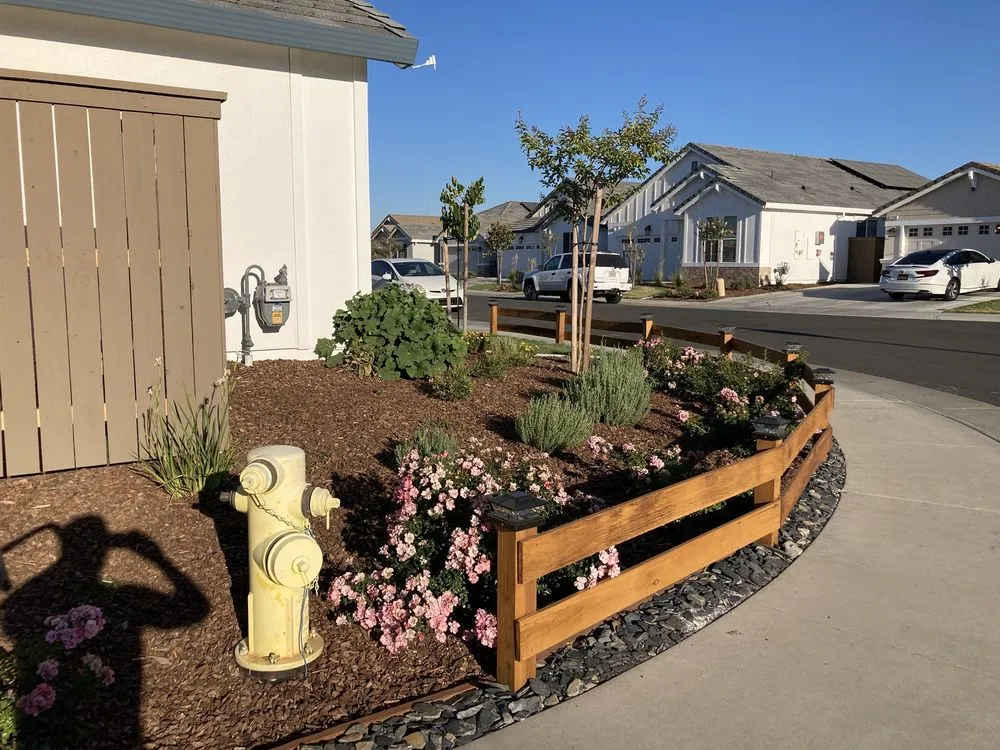 Trusted yard cleanup service experts serving Roseville, CA - Terrain Creations