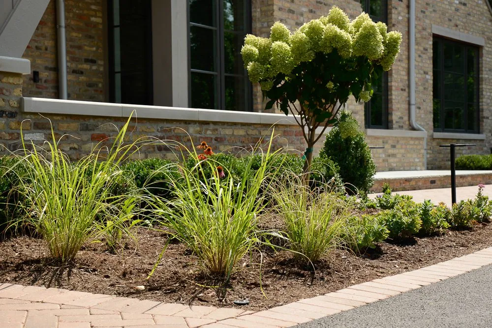 Trusted landscape design experts serving Darien, IL - Terrain Landscape Contractors
