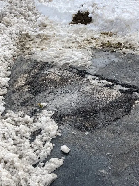 Affordable landscaping services in West Seneca, NY by Terrain Landscaping