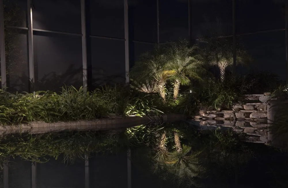 Top-rated yard cleanup service experts serving St. Augustine Florida, FL - Terrain Outdoor Lighting & Audio