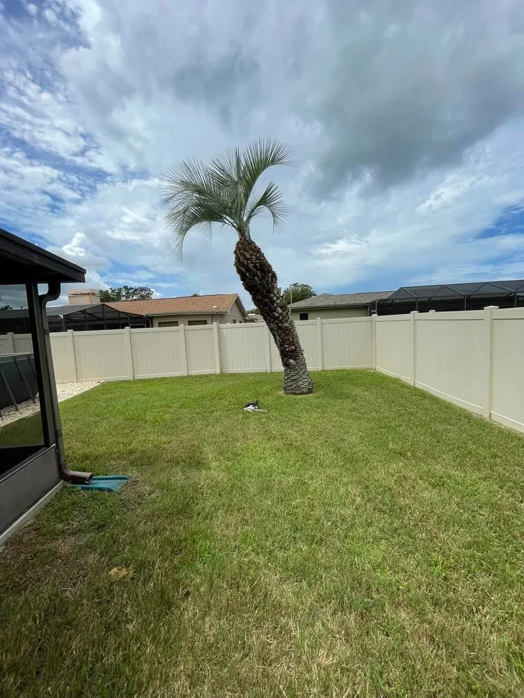 Trusted landscaping services experts serving Port Richey, FL - Terrain Pro landscaping