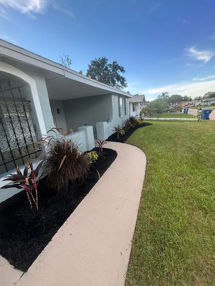 Expert landscape design experts serving Port Richey, FL - Terrain Pro landscaping