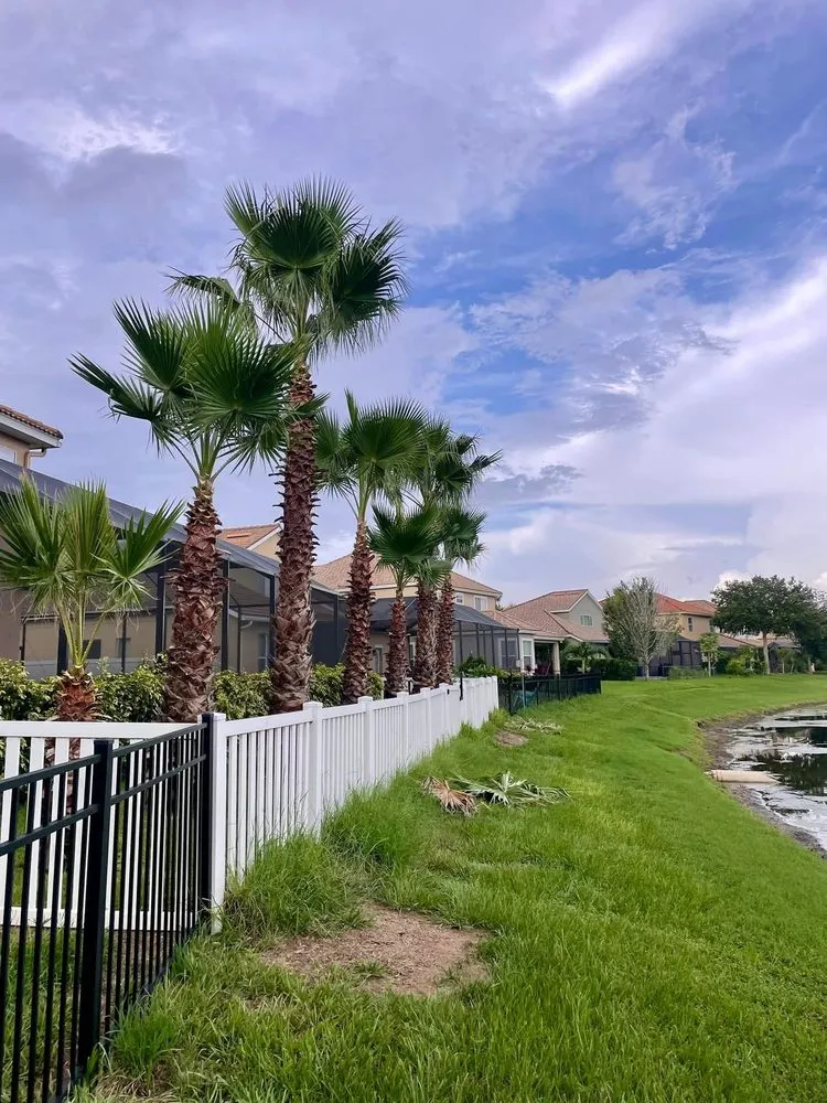 Local yard maintenance in Port Richey, FL - Terrain Pro landscaping