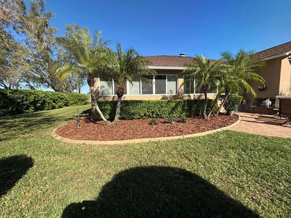 Affordable landscape design experts serving Port Richey, FL - Terrain Pro landscaping