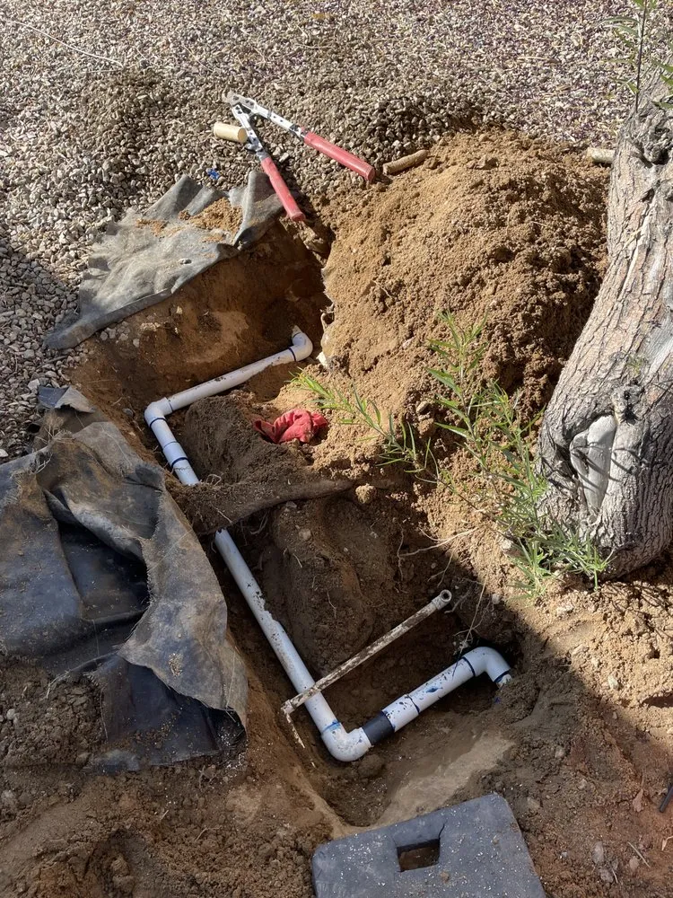 Local residential landscaping for residential properties in Indio, CA by Terrainy Landscape