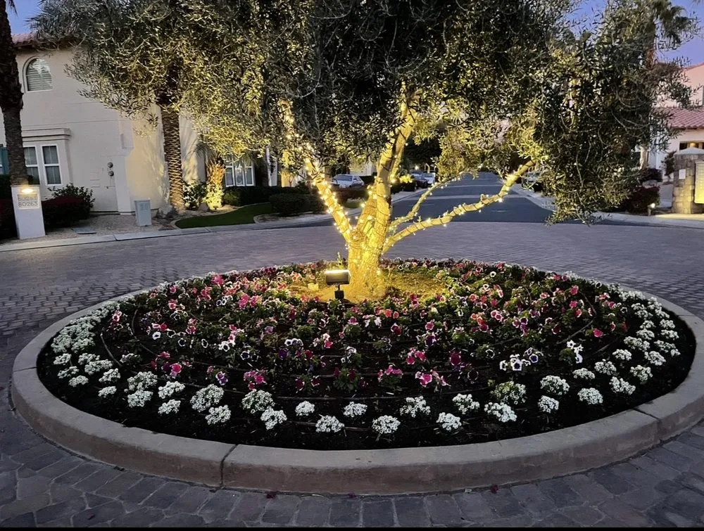 Professional landscape installation in Indio, CA - Terrainy Landscape