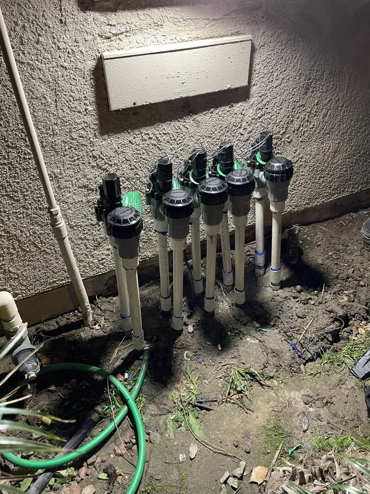 Professional garden landscaping experts serving Indio, CA - Terrainy Landscape