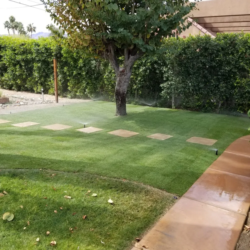 Reliable landscaping services for beautiful yards in Indio, CA by Terrainy Landscape