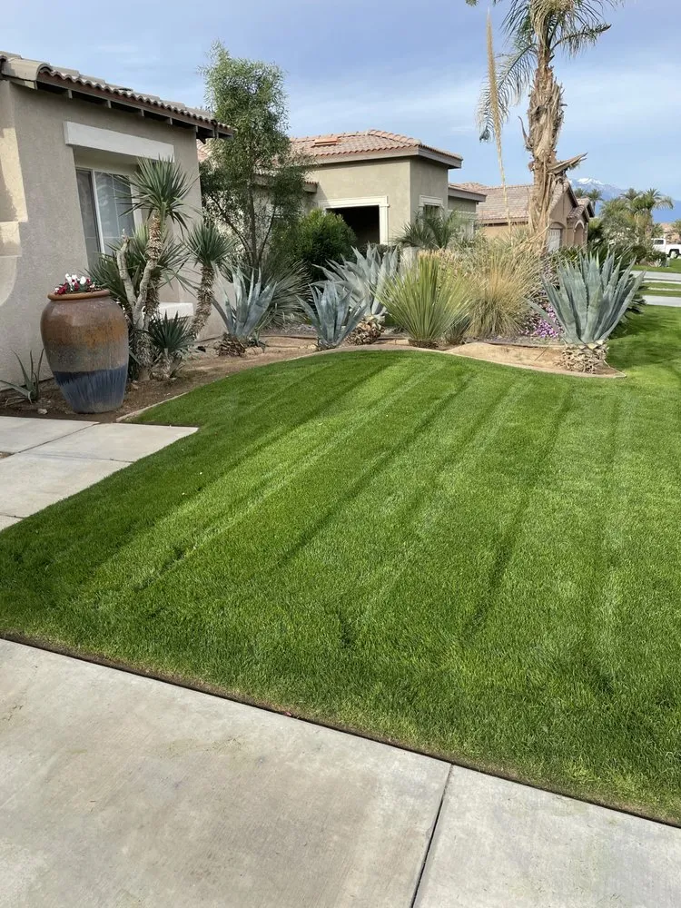 Custom landscape design in Indio, CA by Terrainy Landscape