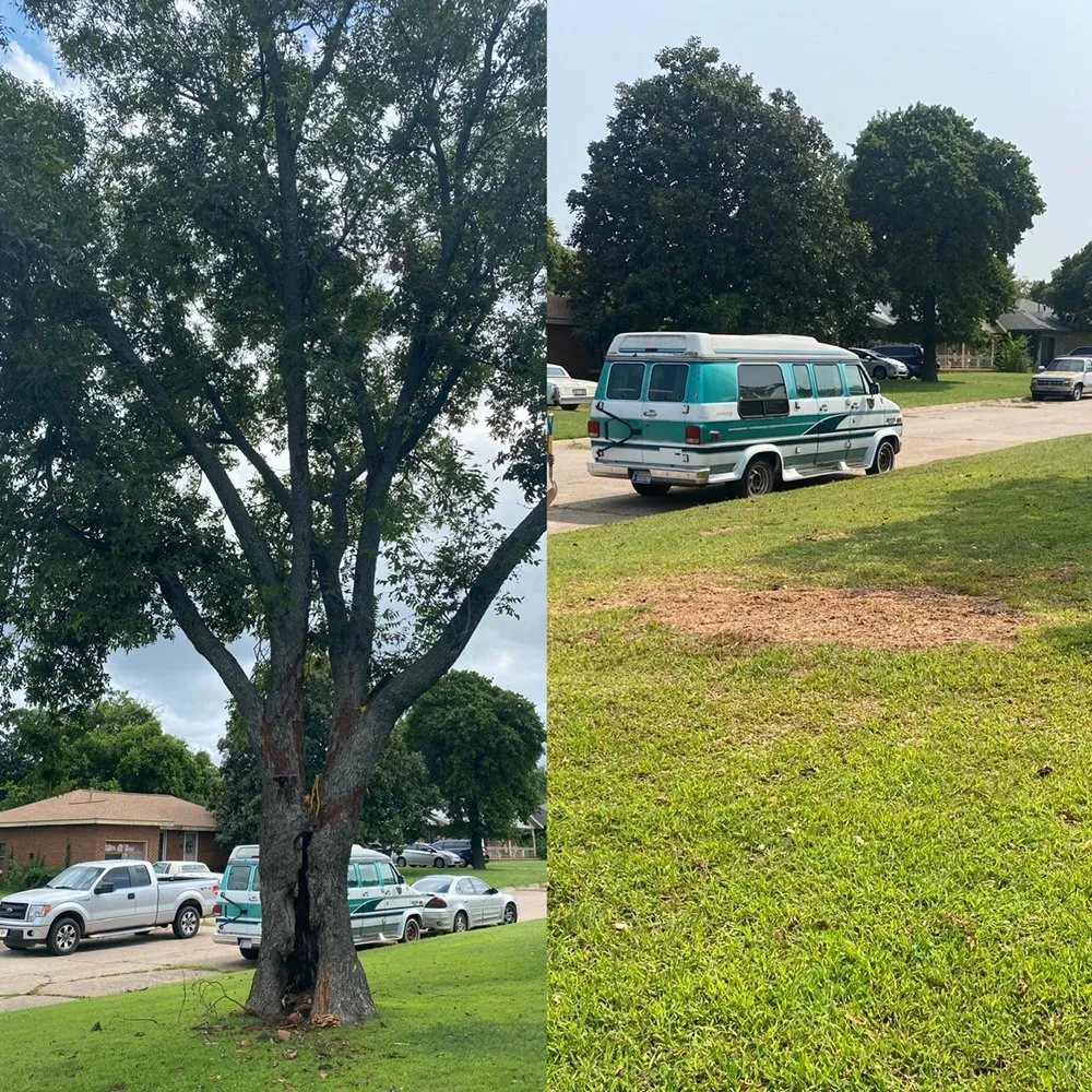 Reliable lawn care service in Yukon, OK - Terraline Integrative Services