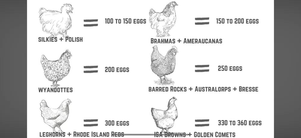Reliable lawn care service near you in Perrysburg, OH by Terramorph