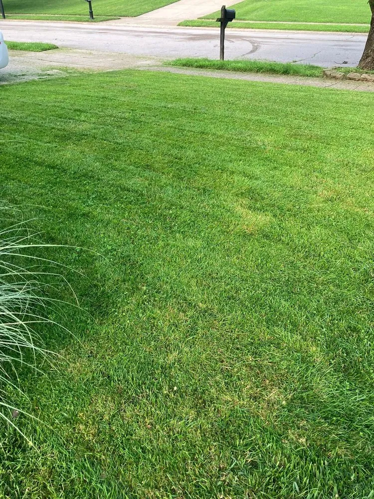 Affordable yard cleanup service for outdoor upgrades in Des Moines, IA by Terrance And Shaynes Lawn And Hualing Service