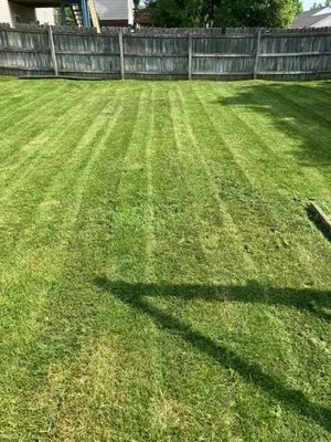 Terrance And Shaynes Lawn And Hualing Service Logo