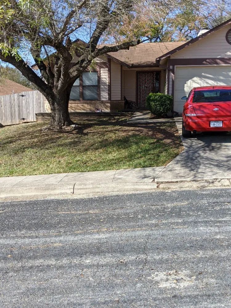 Trusted landscaping services in San Antonio, TX - Terrances Lawncare