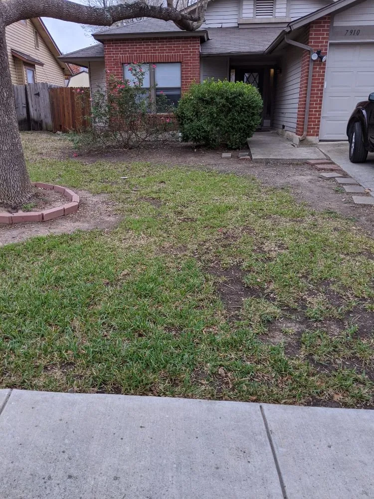 Local landscape design in San Antonio, TX by Terrances Lawncare