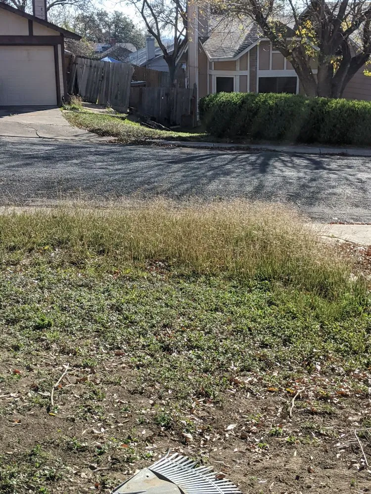 Custom landscape design for year-round maintenance across San Antonio, TX - Terrances Lawncare