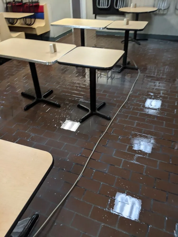 Top-rated residential landscaping for homes in San Antonio, TX by Terrances Lawncare