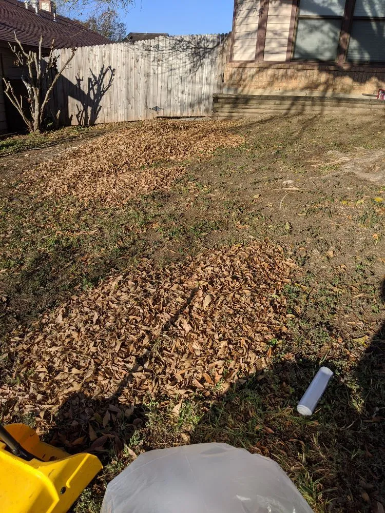 Custom yard maintenance in San Antonio, TX by Terrances Lawncare