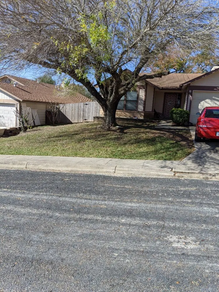 Top-rated garden landscaping near you across San Antonio, TX - Terrances Lawncare