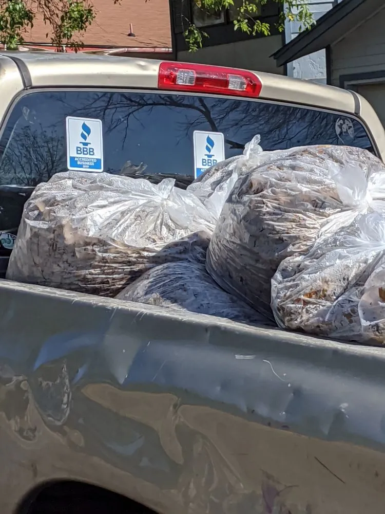 Top-rated residential landscaping experts serving San Antonio, TX - Terrances Lawncare