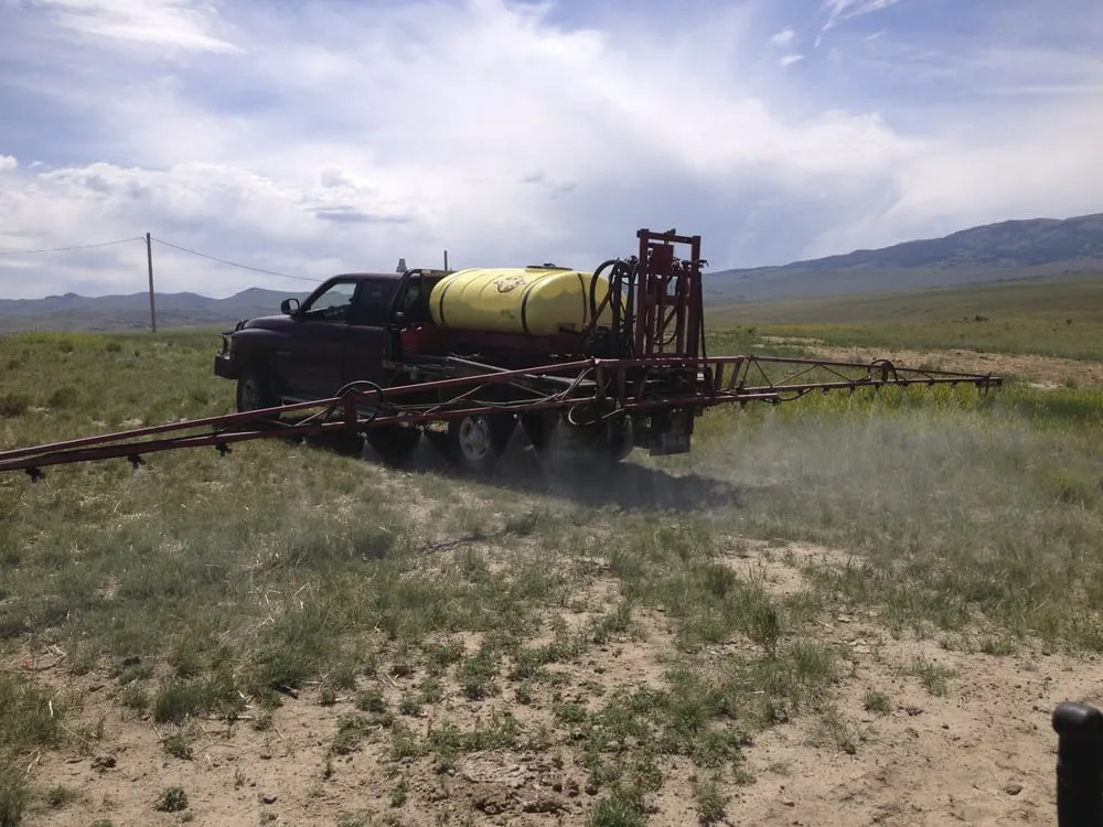 Expert landscape design experts serving Dillon, MT - TerraNova