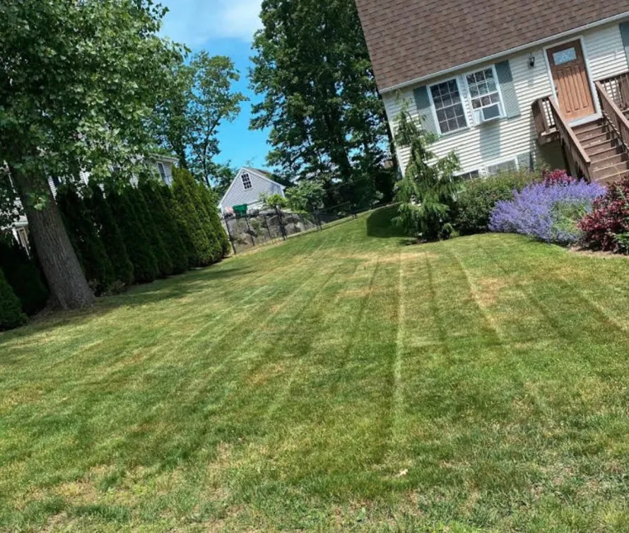 Professional lawn mowing service in Providence, RI by TerraNova Landscaping