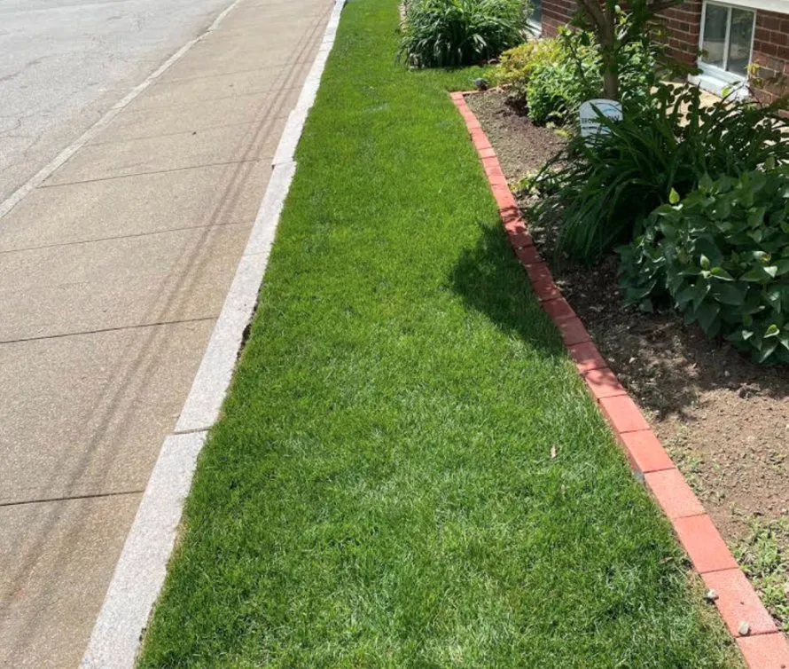 Expert residential landscaping experts serving Providence, RI - TerraNova Landscaping