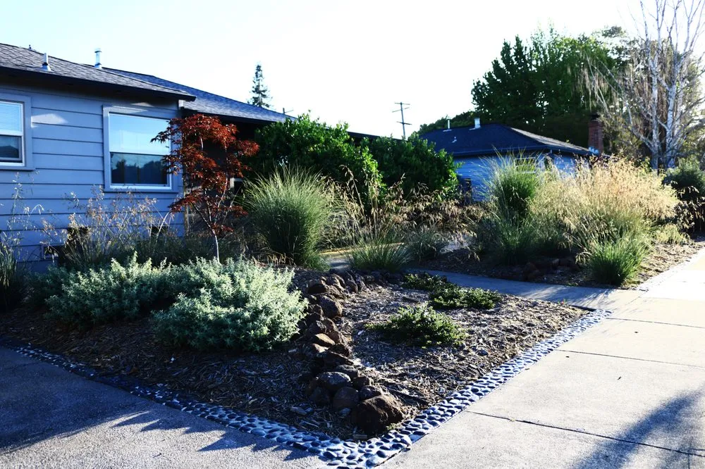 Affordable outdoor landscaping in Santa Rosa, CA - Terranuda