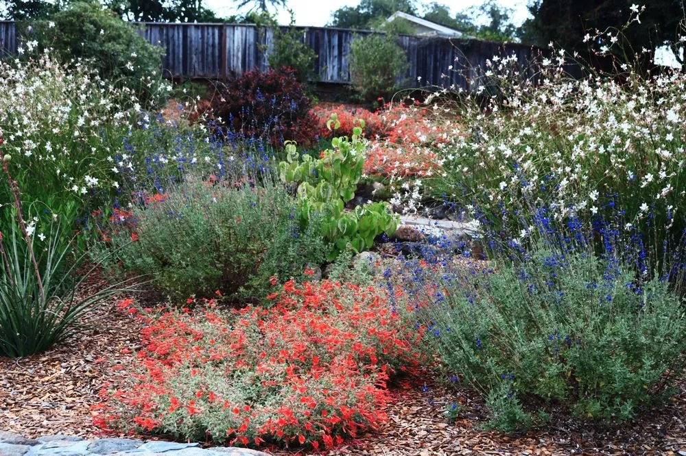 Top-rated outdoor landscaping experts serving Santa Rosa, CA - Terranuda