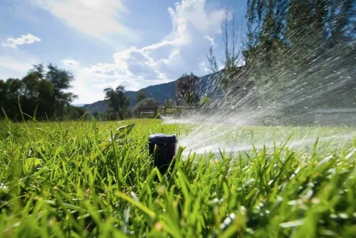 Expert residential landscaping in Minneola, FL by Terrapin Landscape & Lawn