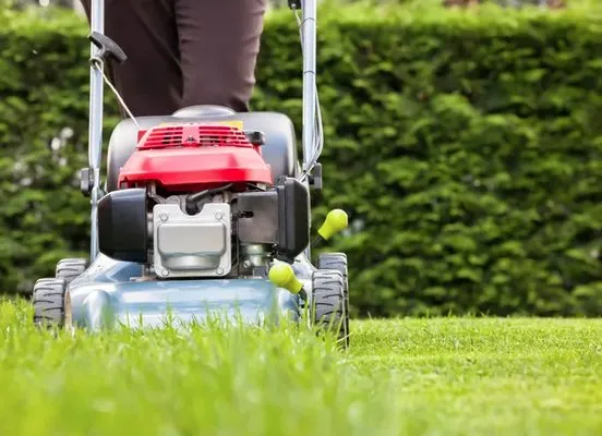 Terrapin Landscape & Lawn