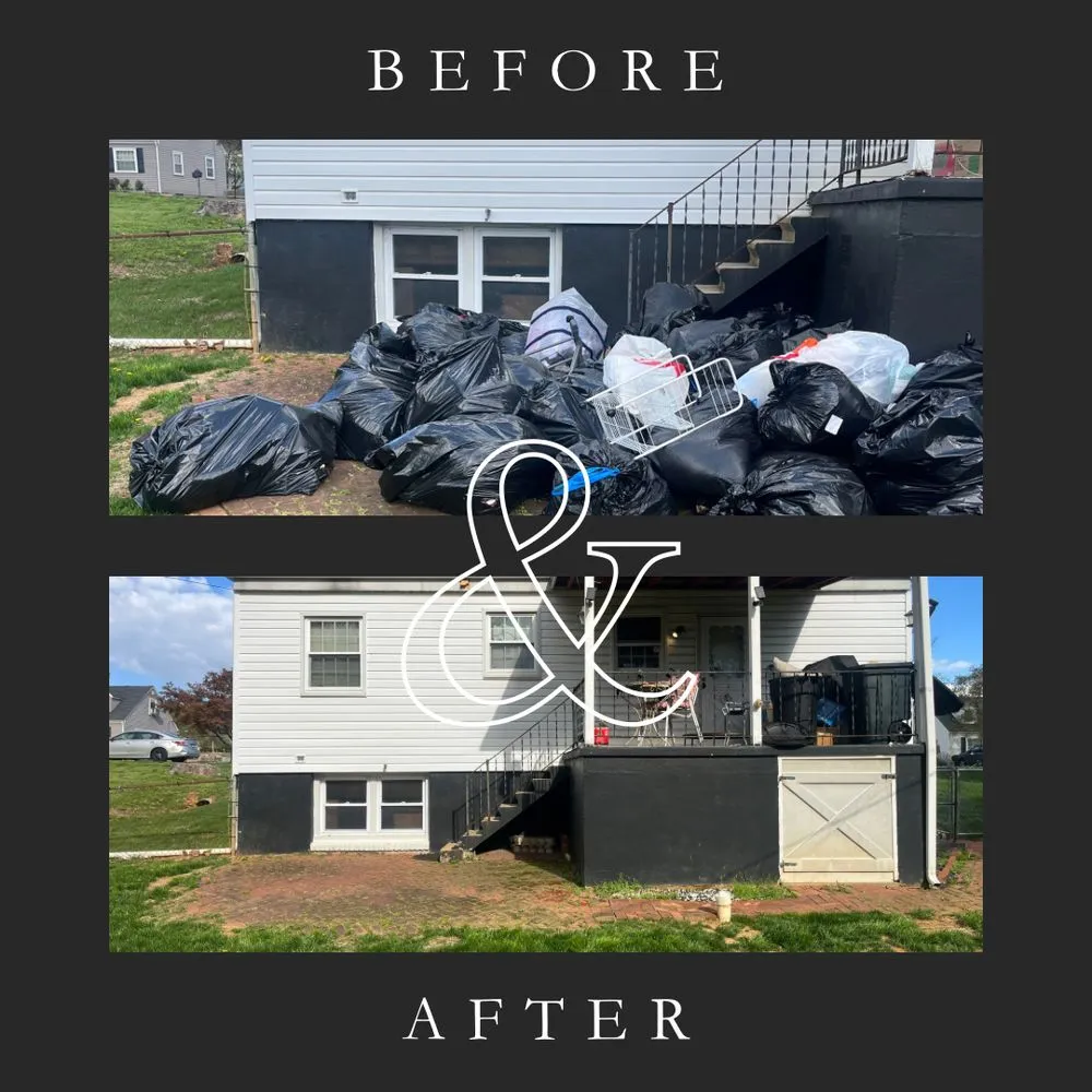 Professional yard cleanup service in Baltimore, MD - Terrapin Trash Removal